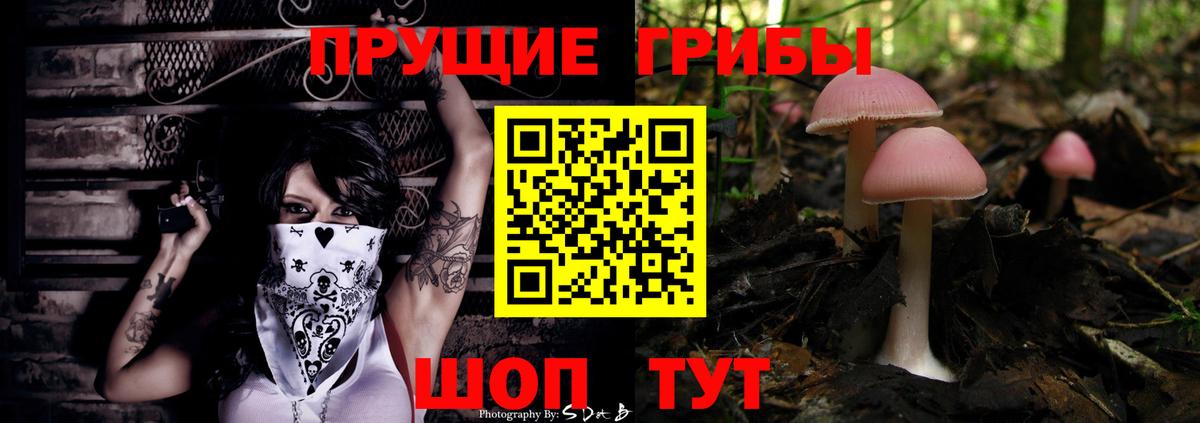 Сальск  Псилоцибиновые грибы прущие грибы  где найти   Вход с VPN 